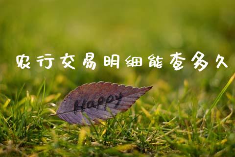 农行交易明细能查多久_https://wap.fcdydaikuan.com_新股数据_第1张