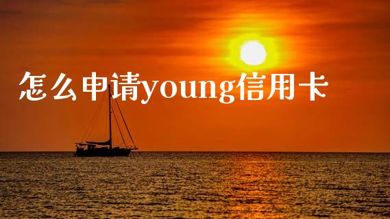 怎么申请young信用卡_https://wap.fcdydaikuan.com_金融机构_第1张