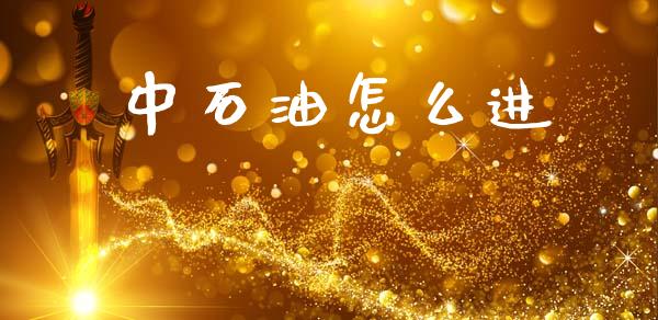 中石油怎么进_https://wap.fcdydaikuan.com_投资策略_第1张