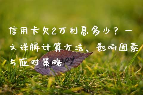 信用卡欠2万利息多少？一文详解计算方法、影响因素与应对策略_https://wap.fcdydaikuan.com_金融机构_第1张
