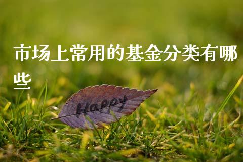 市场上常用的基金分类有哪些_https://wap.fcdydaikuan.com_投资策略_第1张