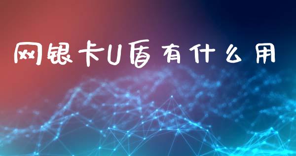 网银卡U盾有什么用_https://wap.fcdydaikuan.com_期货品种_第1张