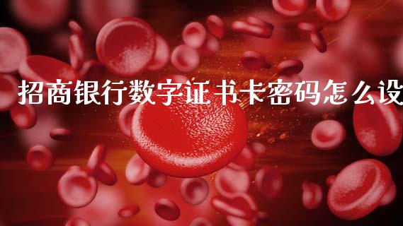 招商银行数字证书卡密码怎么设_https://wap.fcdydaikuan.com_金融机构_第1张