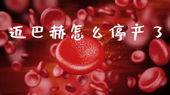 迈巴赫怎么停产了_https://wap.fcdydaikuan.com_理财顾问_第1张