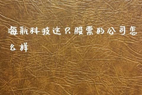 海航科技这只股票的公司怎么样_https://wap.fcdydaikuan.com_理财顾问_第1张