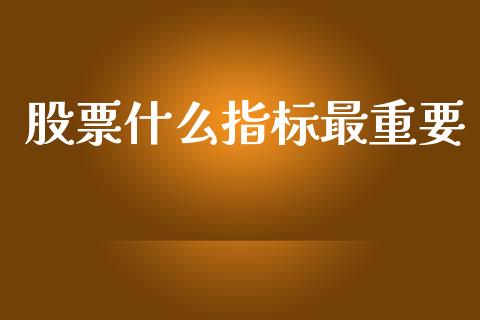 股票什么指标最重要_https://wap.fcdydaikuan.com_金融机构_第1张
