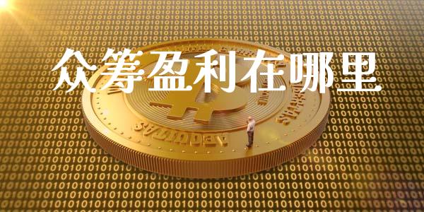 众筹盈利在哪里_https://wap.fcdydaikuan.com_理财顾问_第1张