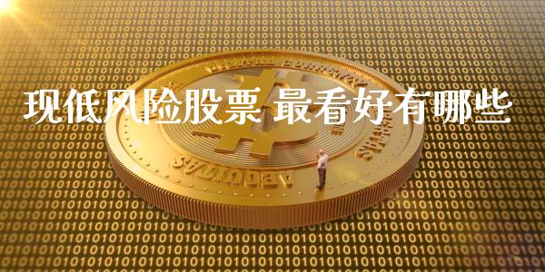 现低风险股票 最看好有哪些_https://wap.fcdydaikuan.com_金融机构_第1张