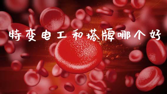 特变电工和塔牌哪个好_https://wap.fcdydaikuan.com_期货品种_第1张