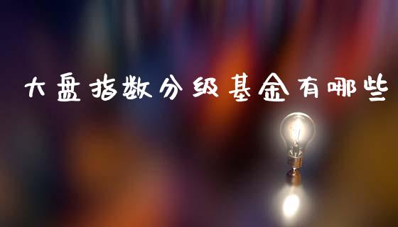 大盘指数分级基金有哪些_https://wap.fcdydaikuan.com_理财顾问_第1张