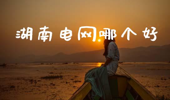 湖南电网哪个好_https://wap.fcdydaikuan.com_金融机构_第1张