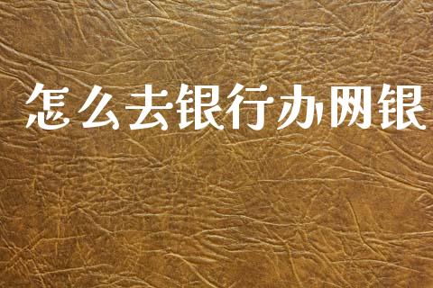 怎么去银行办网银_https://wap.fcdydaikuan.com_投资策略_第1张