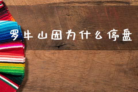 罗牛山因为什么停盘_https://wap.fcdydaikuan.com_理财顾问_第1张
