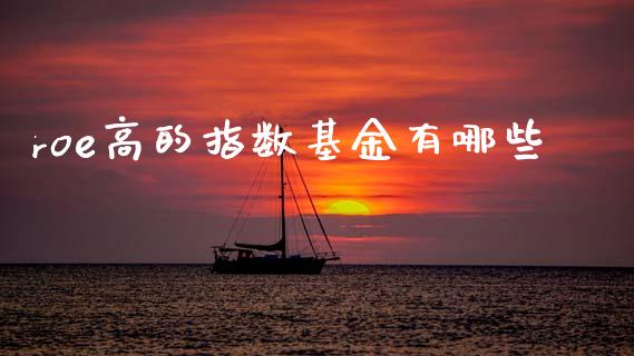 roe高的指数基金有哪些_https://wap.fcdydaikuan.com_投资策略_第1张