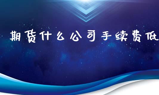 期货什么公司手续费低_https://wap.fcdydaikuan.com_投资策略_第1张
