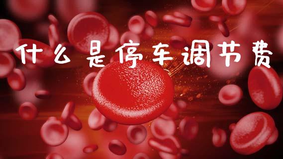 什么是停车调节费_https://wap.fcdydaikuan.com_新股数据_第1张