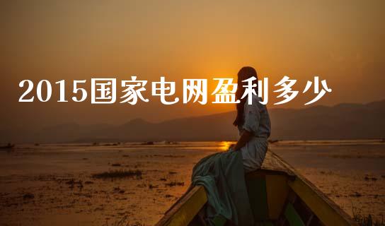 2015国家电网盈利多少_https://wap.fcdydaikuan.com_投资策略_第1张