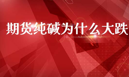 期货纯碱为什么大跌_https://wap.fcdydaikuan.com_金融机构_第1张