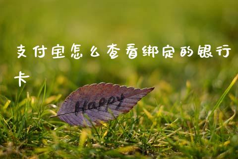 支付宝怎么查看绑定的银行卡_https://wap.fcdydaikuan.com_理财顾问_第1张