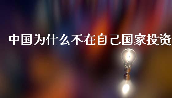 中国为什么不在自己国家投资_https://wap.fcdydaikuan.com_理财顾问_第1张