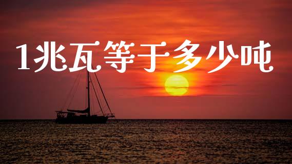 1兆瓦等于多少吨_https://wap.fcdydaikuan.com_期货品种_第1张