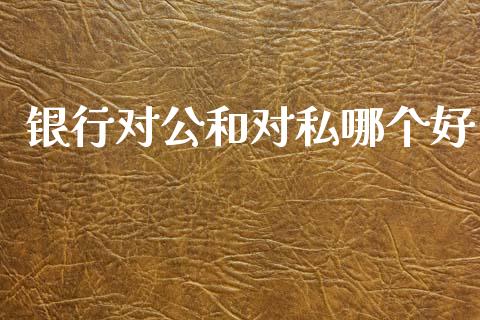 银行对公和对私哪个好_https://wap.fcdydaikuan.com_理财顾问_第1张