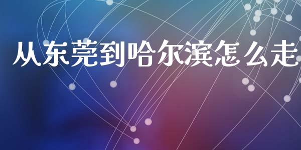 从东莞到哈尔滨怎么走_https://wap.fcdydaikuan.com_投资策略_第1张