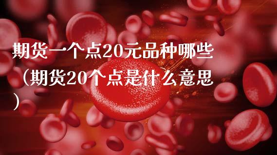期货一个点20元品种哪些（期货20个点是什么意思）_https://wap.fcdydaikuan.com_理财顾问_第1张