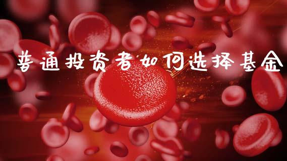 普通投资者如何选择基金_https://wap.fcdydaikuan.com_投资策略_第1张