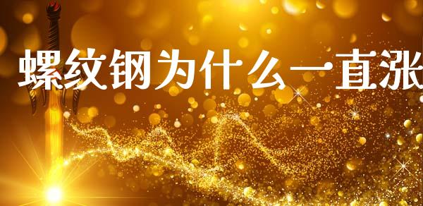 螺纹钢为什么一直涨_https://wap.fcdydaikuan.com_投资策略_第1张