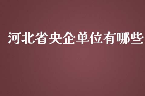 河北省央企单位有哪些_https://wap.fcdydaikuan.com_国际投资_第1张