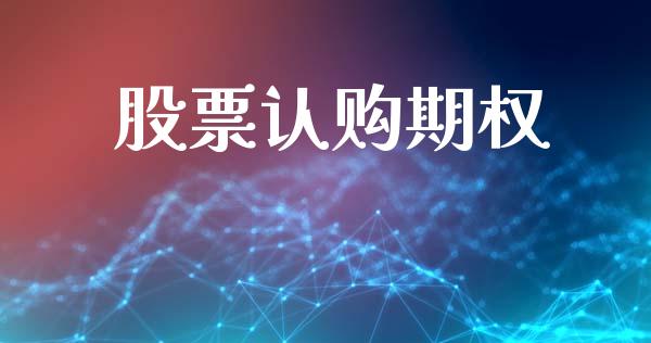 股票认购期权_https://wap.fcdydaikuan.com_理财顾问_第1张