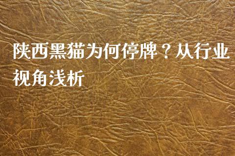 陕西黑猫为何停牌？从行业视角浅析_https://wap.fcdydaikuan.com_金融机构_第1张