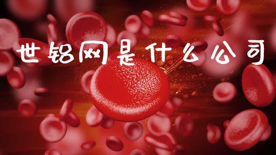 世铝网是什么公司_https://wap.fcdydaikuan.com_新股数据_第1张