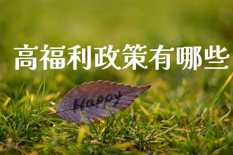 高福利政策有哪些_https://wap.fcdydaikuan.com_新股数据_第1张