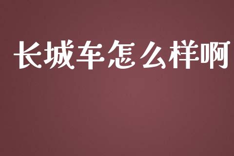 长城车怎么样啊_https://wap.fcdydaikuan.com_期货品种_第1张