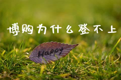 博购为什么登不上_https://wap.fcdydaikuan.com_国际投资_第1张
