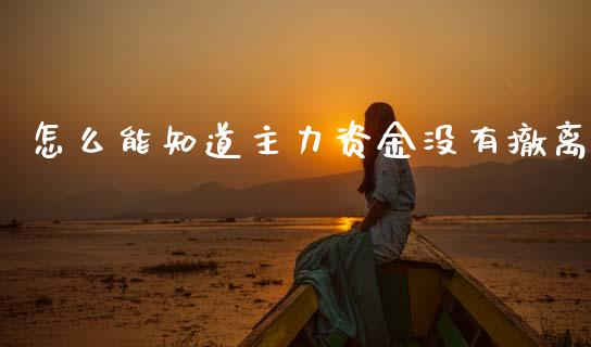 怎么能知道主力资金没有撤离_https://wap.fcdydaikuan.com_投资策略_第1张