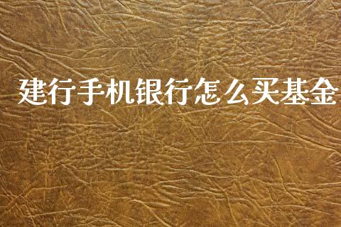 建行手机银行怎么买基金_https://wap.fcdydaikuan.com_投资策略_第1张
