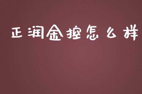 正润金控怎么样_https://wap.fcdydaikuan.com_金融机构_第1张