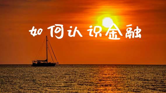如何认识金融_https://wap.fcdydaikuan.com_投资策略_第1张