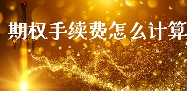 期权手续费怎么计算_https://wap.fcdydaikuan.com_新股数据_第1张