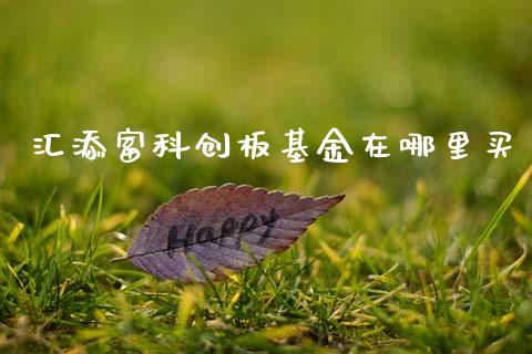 汇添富科创板基金在哪里买_https://wap.fcdydaikuan.com_理财顾问_第1张