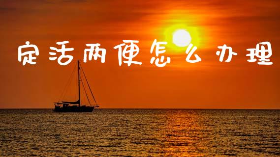 定活两便怎么办理_https://wap.fcdydaikuan.com_金融机构_第1张