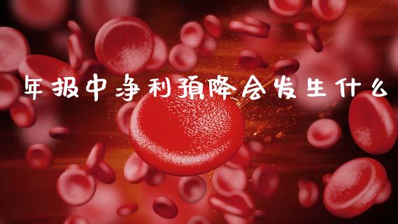 年报中净利预降会发生什么_https://wap.fcdydaikuan.com_新股数据_第1张