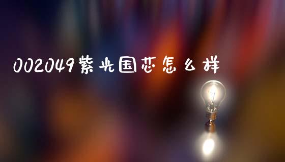 002049紫光国芯怎么样_https://wap.fcdydaikuan.com_新股数据_第1张