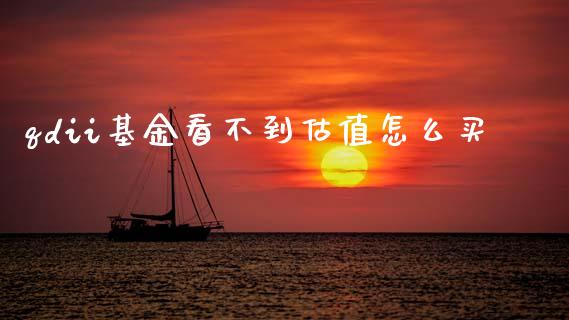 qdii基金看不到估值怎么买_https://wap.fcdydaikuan.com_金融机构_第1张