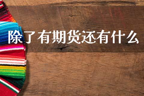 除了有期货还有什么_https://wap.fcdydaikuan.com_期货品种_第1张
