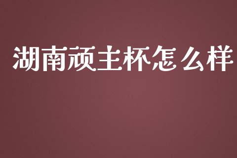 湖南顽主杯怎么样_https://wap.fcdydaikuan.com_投资策略_第1张