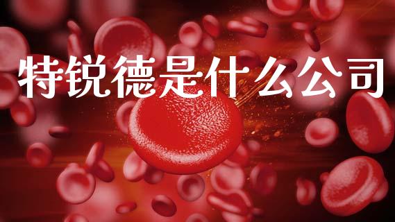 特锐德是什么公司_https://wap.fcdydaikuan.com_期货品种_第1张